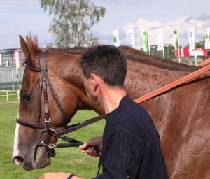 Obrazek